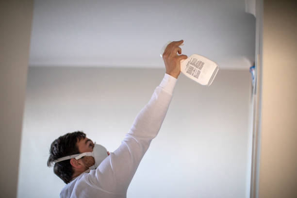 Best Mold Remediation  in Old Fig Garden, CA