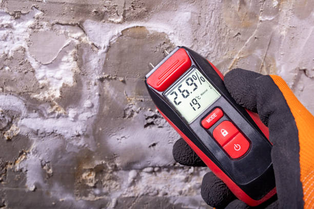 Professional Mold Removal in Old Fig Garden, CA