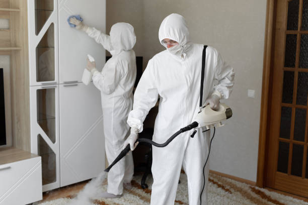 Best Mold Cleaning Services  in Old Fig Garden, CA